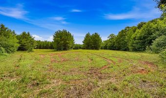Harry Priddy Road, Americus, GA 31719