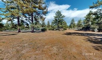 60164 Devils Ladder Rd, Mountain Center, CA 92561