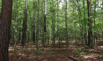1091 Pine Grove Rd, Batesburg Leesville, SC 29006