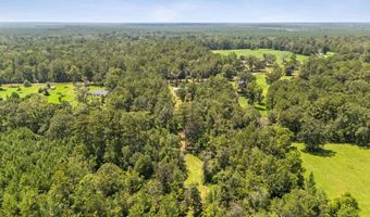 60150 N Snowcreek Rd, Amite, LA 70422
