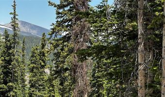 584 Camron Ln Lot 6, Breckenridge, CO 80424