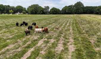317 N Thurmond Ave, Ash Grove, MO 65604