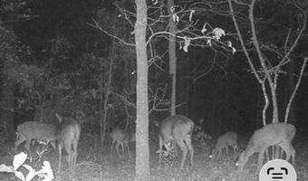 Williams Road, Bald Knob, AR 72010