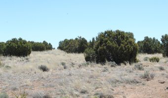80 County Road 8620, Concho, AZ 85924