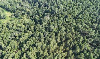 Swamp Road, Beech Island, SC 29842