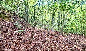 520 Calvin Cove Rd, Almond, NC 28702