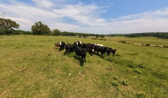 N County Road 113, Alton, MO 65606