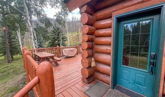 27667 Buckhorn Rd, Bellvue, CO 80512