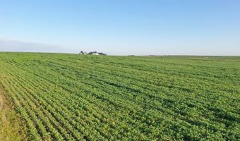 TBD Hwy 14, Allison, IA 50602