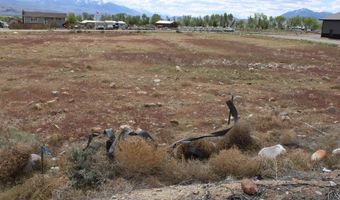 Highway 93, Challis, ID 83226