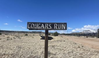 38 Cougar Run, Datil, NM 87821