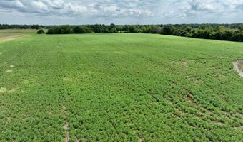 290 CR, Asbury, MO 64832