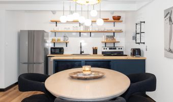 901 E Hyman Ave 4, Aspen, CO 81611