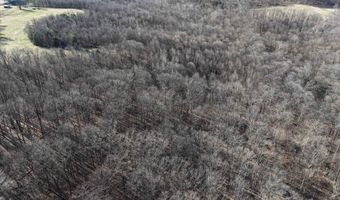 S Harts Gravel Road, Birdseye, IN 47513