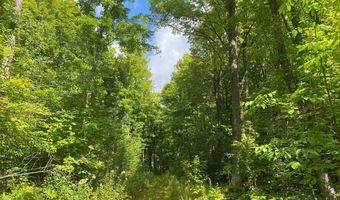 NEAR SCHMIDT LN, Argonne, WI 54511