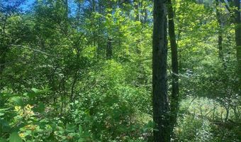 Townline Road, Angelica, NY 14709