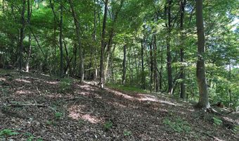 1820 Babbs Mill Rd, Afton, TN 37616
