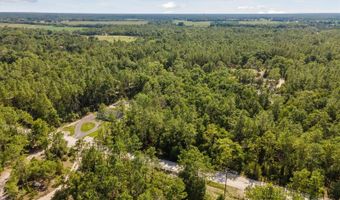 Tbd NW 16TH AVENUE, Bell, FL 32619