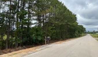 4 30 Acres Rabon Rd, Aynor, SC 29511