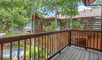 503 W Main St B202, Aspen, CO 81611