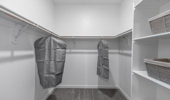 463 Sheep Camp Dr, Dayton, NV 89403