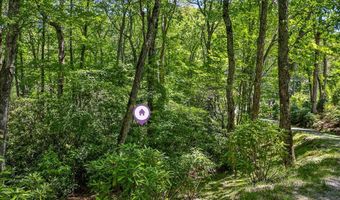 Tbd Big Bear Pen Road, Highlands, NC 28741