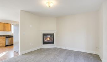372 N Oak St, Alma, CO 80420