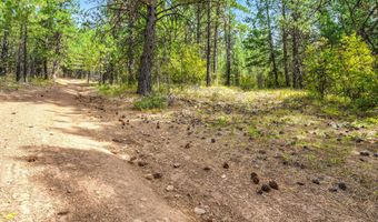 NNA USFS 2550 40 acres, Blanchard, ID 83804