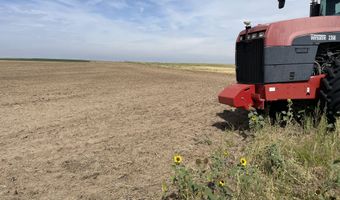 County Road 3P, Arriba, CO 80804