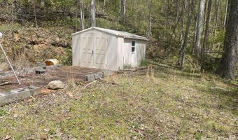 99999 Martins Creek Rd, Barnardsville, NC 28709