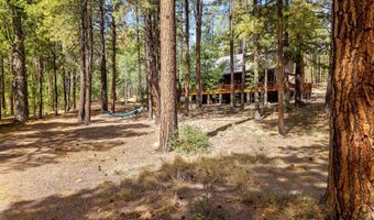 8 County Road 2083, Alpine, AZ 85920