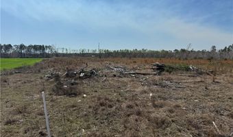 0 35.01 Acres Bacon School Rd, Alma, GA 31510