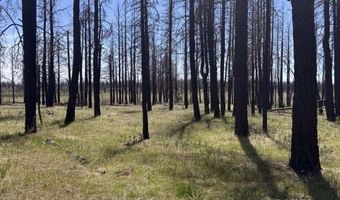 Off-Hicks Road, Bly, OR 97622