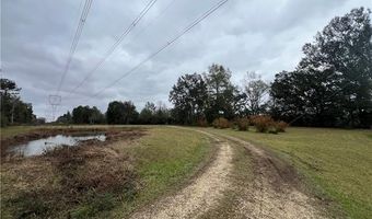 61027 RUTH HOLTON Rd, Amite, LA 70422