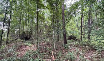 0 LA Hwy 442, Albany, LA 70711