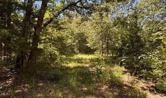 Lot 19 Saddle Creek Ct, Alba, TX 75410