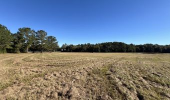 0 Tallahassee Hwy, Attapulgus, GA 39815
