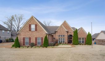 6043 WINDSOR OAK, Arlington, TN 38002