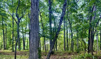 604 Appaloosa Trl, Bahama, NC 27503