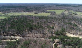 Tract 8 State Route 225, Bethel Springs, TN 38315