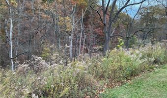 10550 Symmes Creek Rd, Adamsville, OH 43802