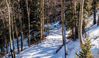 944 Roberts Rd, Alma, CO 80420