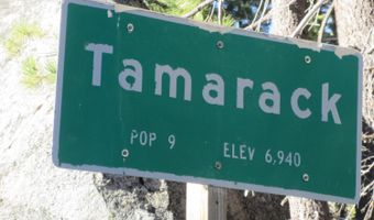 175 Silver Tip Dr, Bear Valley, CA 95223