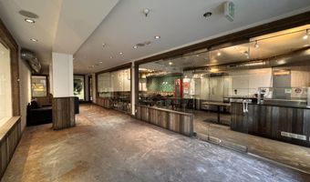 520 E Cooper Ave Ll1 & Ll4, Aspen, CO 81611