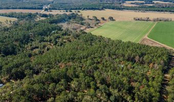 Tbd N COUNTY RD 1491, Alachua, FL 32615