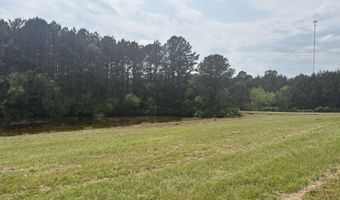 10 County Road 1521, Bay Springs, MS 39422