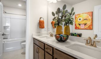 5298 Jessie Dr Plan: NORMAN, Apex, NC 27539