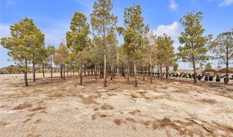 2253 N Saddleback Dr, Amargosa Valley, NV 89020