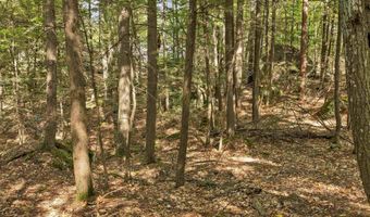 Lot 36 Mauhaut Shores Road, Alton, NH 03810