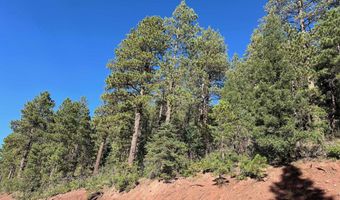 141 Afv N Back Basin Rd, Angel Fire, NM 87710